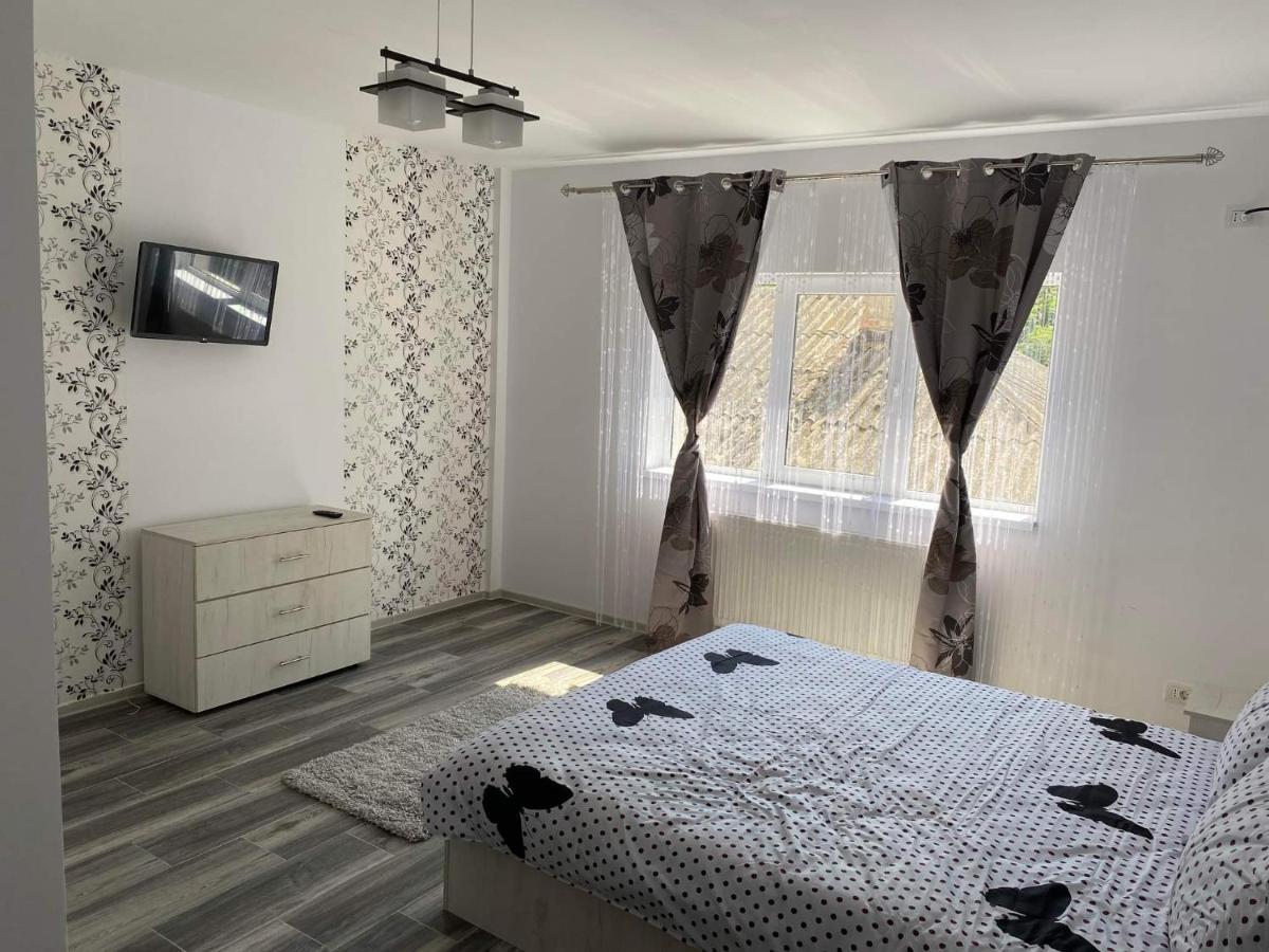 Dana Studio Tulcea Bagian luar foto