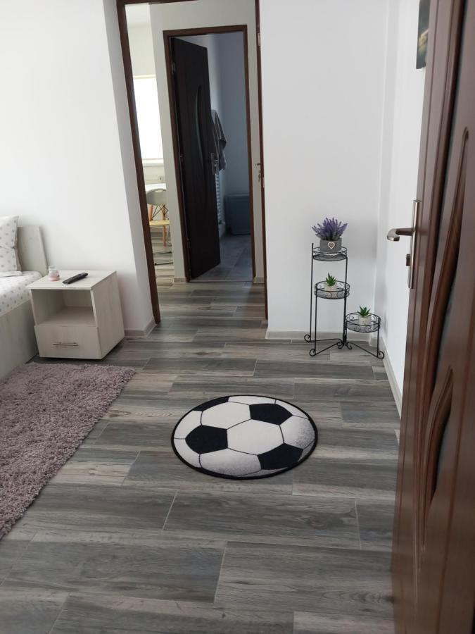 Dana Studio Tulcea Bagian luar foto
